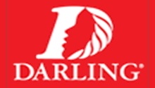 Logo Darling 220 125